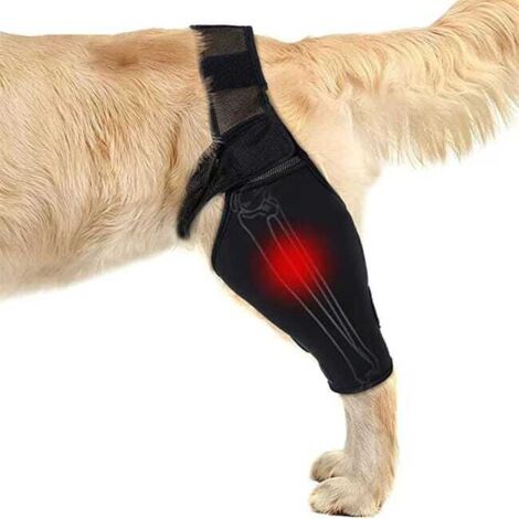 Férula para la pata trasera del perro para la recuperación de fracturas XL