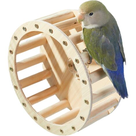 Rueda de ejercicio para pájaros Juguete de inteligencia con forma de rueda para loros, artículos de entretenimiento interactivo que estimulan la inteligencia de los periquitos. (1/5)