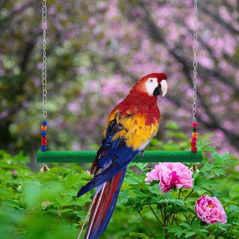 Jouets à Bascule Pour Poules, Perchoir En Bois Naturel Pour Perroquets, Accessoires Pour Poulaillers Autoportants, Jouets De