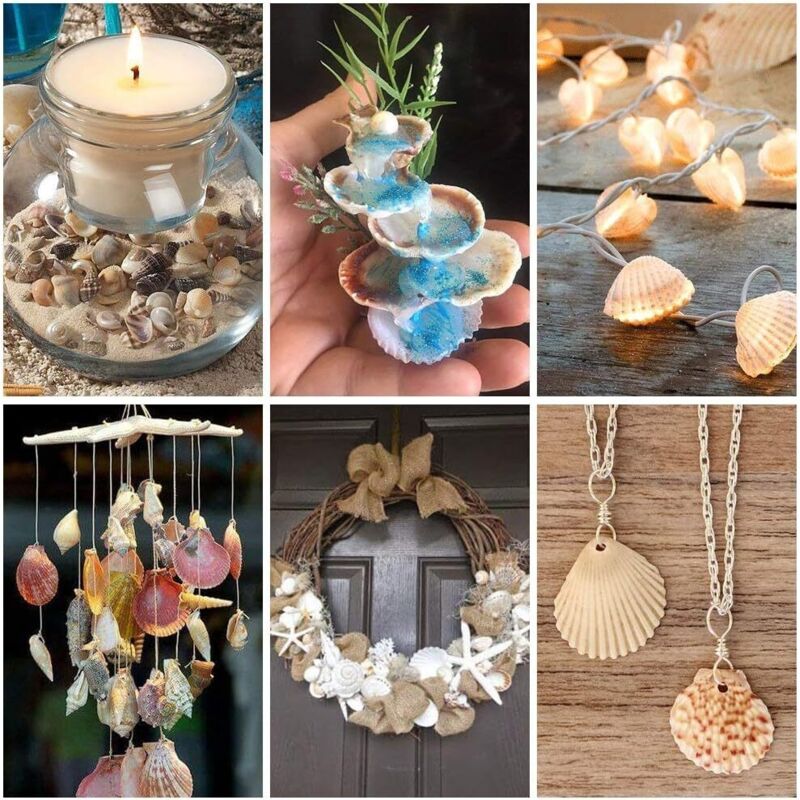 100 PièCes SéRies Naturel éToile De Mer Coquillage Plage Artisanat éToiles Bricolage Mariage Decoration Artisanat Decor A 1 5 Cm 77132509