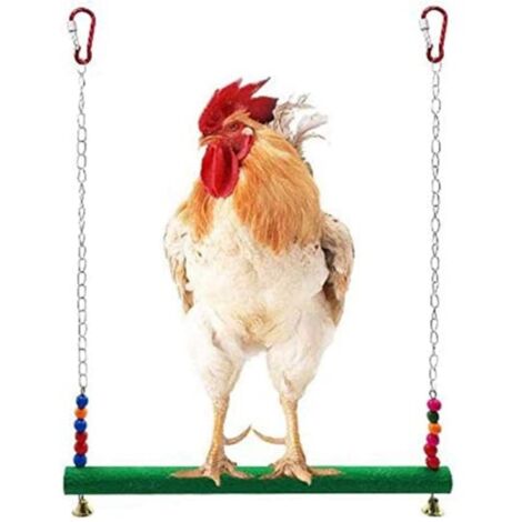 Balançoire à poulet - Jouets pour poules - Jouet pour poules - Oiseaux, perroquet, ara, poules - Échelle à balançoire - Pour poules et perroquets