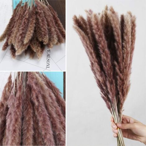 45 PièCes Bouquet de Fleurs SéChéEs Naturelles Bouquets de Pampa et de 45 PièCes Bouquet de Fleurs SéChéEs Naturelles Bouquets de Pampa et de