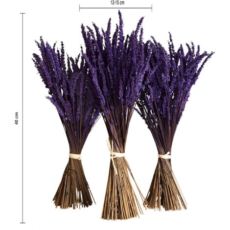 Bouquets De Lavande Séchée Naturelle - Lavandula Officinalis - 1 à 12 Bouquets - YouHerbIt