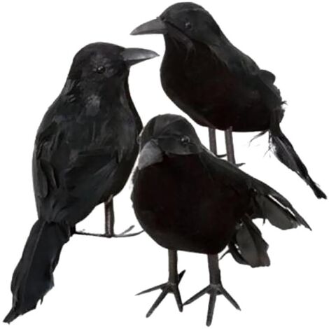 Lot De 3 Corbeaux D'Halloween à Plumes Noires - Décoration Réaliste Et Effrayante - Avec Fil Flexible Pour Fixation