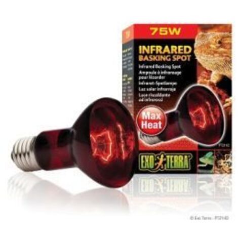 Exo Terra Infrared Basking Spot 75W rouge ampoule
