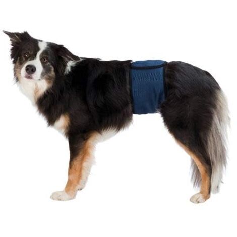 Couches pour chiens mâles, maille respirable XL: 65-75 cm, bleu foncé