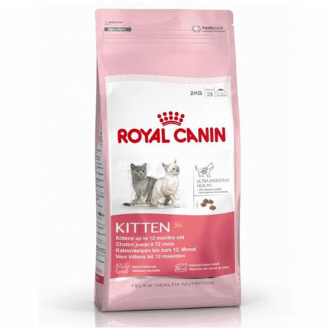 Croquettes Royal Canin Kitten 400 g