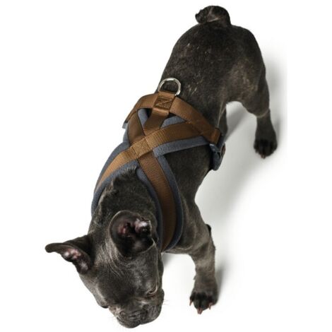 Harnais pour Chien Hunter London Comfort XS-S 39-47 cm Marron (1/3)