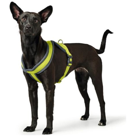 Harnais pour Chien Hunter London Comfort XS-S 39-47 cm Citron (1/3)
