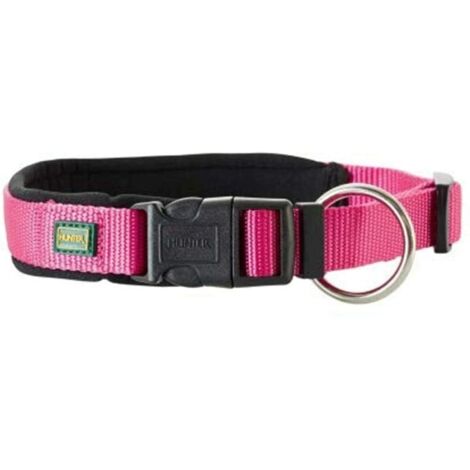 Collier pour Chien (Reconditionné A) (1/2)