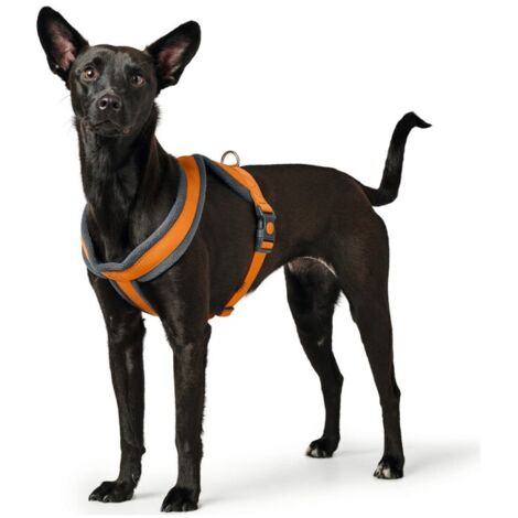 Harnais pour Chien Hunter London Comfort XS-S 39-47 cm Orange (1/3)