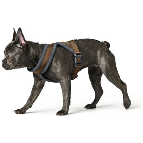 Harnais pour Chien Hunter London Comfort 52-62 cm Marron Taille S/M (1/3)