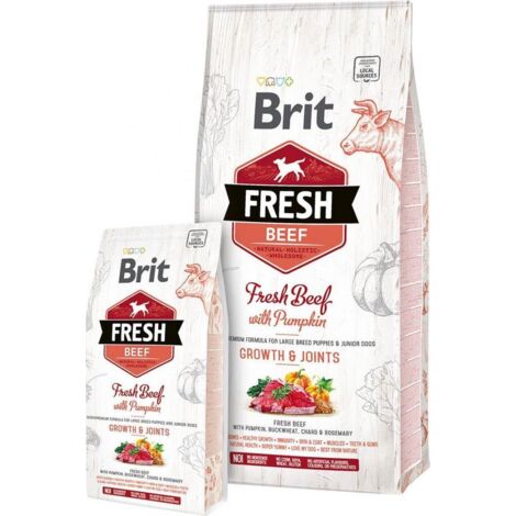 Croquettes Brit Fresh Beef à la citrouille pour chiots en pleine croissance et souffrant de problèmes articulaires - 12 kg (1/2)
