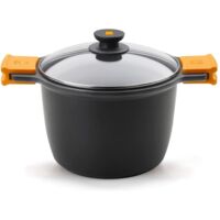 CASSEROLE INDUCTION EFFICIENT - 24 CM