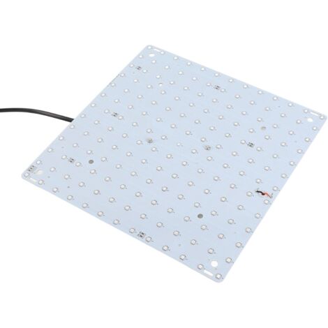 Lampe de Croissance LED, Lumière de Croissance des Plantes à Spectre Rouge et Bleu, 169 LED, économie D'énergie, Lumière de Croissance des Plantes D'intérieur avec (169 LED et prise UE)