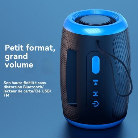 Enceinte Bluetooth Sans Fil Noire avec Anneau Lumineux Bleu, Interconnexion TWS, Son Puissant, Résistante à l'Eau et à la Transpiration, Radio FM, Lecture Multiple, Portable pour Intérieur et Extérieu