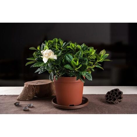 Neopren Heizglasrohrdichtung Pyramiden Terrassenheizer 12 Cm & 9 Cm – 2 Stück Ersatzdichtung