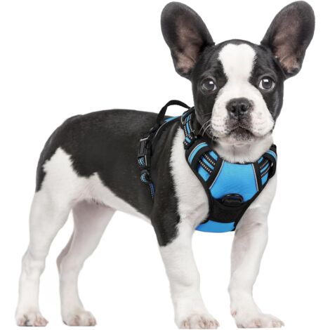 Blaues Hundegeschirr, Größe M, Brustumfang 38–75 cm, 1 Stück, verstellbar, gepolstert, Hundeweste, Polyester, Haustierweste