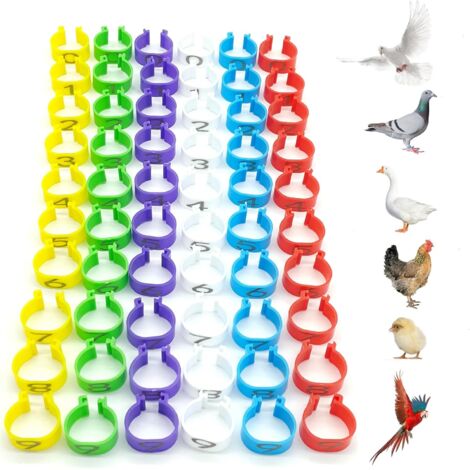 SHINING HOUSE 60 anillos de identificación de pollos, anillos de identificación de aves, anillos de plástico para patas de loro, diámetro de 16 mm, numerados para marcar anillos de aves de corral
