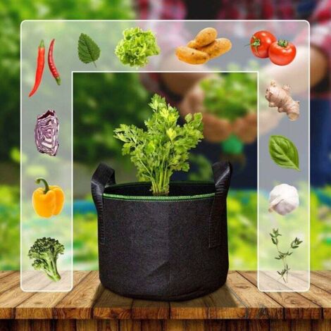 SHINING HOUSE 2 bolsas de siembra de 5 galones, bolsa para macetas con asas, bolsa para cultivo de plantas, maceta de tela no tejida para tomates, patatas, flores, plantas, maceta de 32 x 29 cm (1/5)