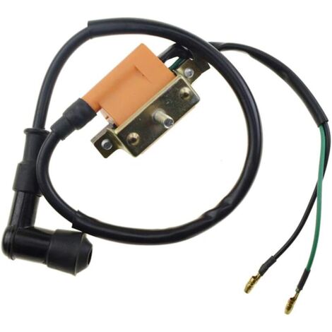 Bobina Di Accensione Per 50cc 70cc 90cc 110cc 125cc Coolster ATV - Foto 11