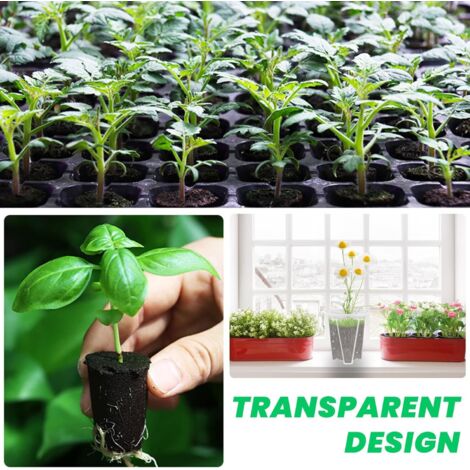 6 Transparente Orchideentöpfe Mit Löchern – 4 Größen Für Sukkulenten & Mehr