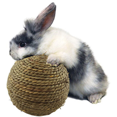 SHINING HOUSE Kleines Haustier-Kauspielzeug – natürlicher Grasball, Zahnreinigung, Schleifspielzeug für Kaninchen, Katzen, kleine Nagetiere, Premium-Qualität, langlebig und schön
