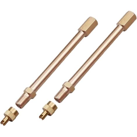 2 pezzi di estensione della valvola del pneumatico con valvola di non ritorno, estensione della valvola,estensione della valvola del pneumatico dell'aria da 10 cm, per pneumatici di auto, scooter, cam (1/5)