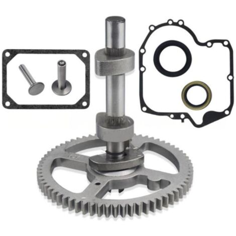 84005207 793880 Kit di sostituzione albero a camme per Briggs & Stratton 84005207 793583 792681