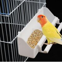 Mangiatoia per uccelli con supporto, accessori per gabbie per uccelli, mangiatoia per uccelli sospesa, ciotola per l'acqua per pappagalli e uccelli