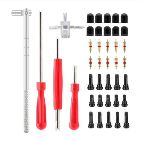 Kit De Noyaux De Valve En Cuivre Avec Outil D'extraction – Neuf – Universel