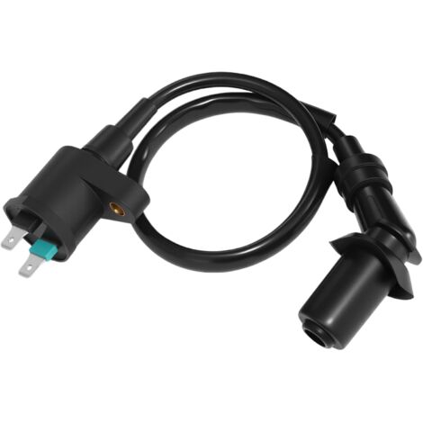 STÜCKE Motorrad-Zündspule, Roller-Zündspule, Zündspule für GY6 50CC 125CC 150CC Motor, Zubehör für GY6-Motor Motorrad Dirt Bike Roller Moped (1/5)
