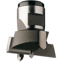 501.450.12 WECHSELSCHNEIDER HW Z2+2 S=M12X1 D=45X30 SX