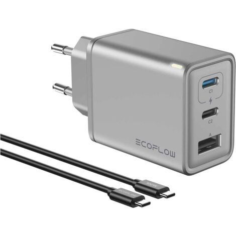 EcoFlow RAPID 65 W Universel Argent Secteur Charge rapide Intérieure (1/2)