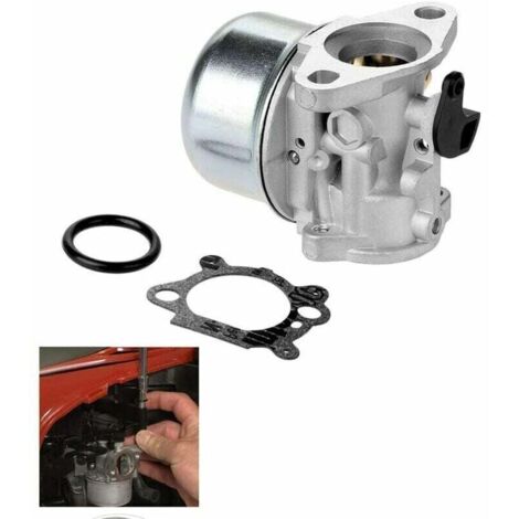 Carburateur 799868 pour carburateurs Briggs & Stratton 498170, 799872 ...