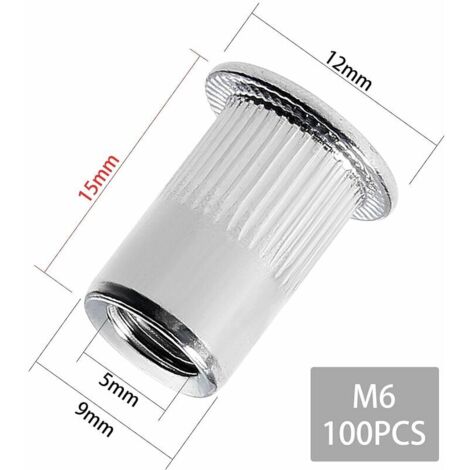 100 pièces M6 écrou à rivet fileté à tête plate, écrous à riveter ...