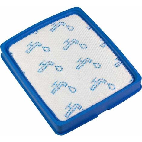 Filtro motore per aspirapolvere Philips PowerPro Expert FC9741 FC9742 FC9743 FC9744 (1/3)
