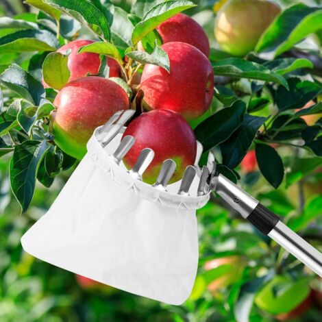 Cueille-Fruits Télescopique 2,4m Avec Sac En Coton - Outil Récolte Pommes Cerises Facile