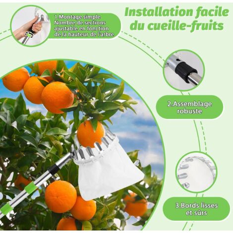 Perche Télescopique Pour Cueillette De Fruits, Réglable De 2