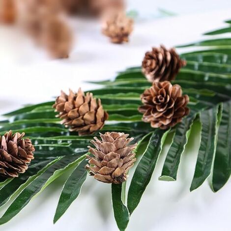 200 Pièces Mini Pommes De Pin Naturelles Blanches - Décoration Noël, Automne, Hiver Et Artisanat