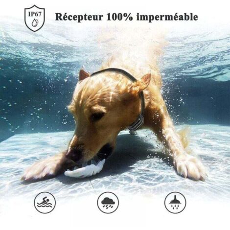 10 Boîtes à Odeur Pour Chien – Accessoire Dressage & Jeux Olfactifs