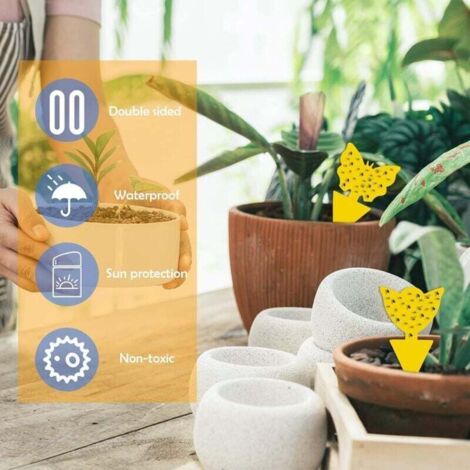60pcs Pièges à Insectes, Attrape Moucheron Plantes, Anti Moucherons Interieur Pieges Engluees Autocollants Colle Double Face Etanche Jaunes 92159187 60pcs Pièges à Insectes, Attrape Moucheron Plantes, Anti Moucherons Interieur Pieges Engluees Autocollants Colle Double Face Etanche Jaunes 92159187