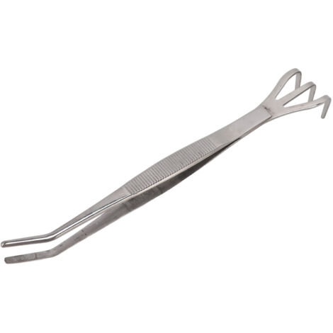 Pince en Acier Inoxydable pour Transplanter et Aérer les Bonsaïs et Succulents Courbée Modèle Récent - KZQ (1/5)