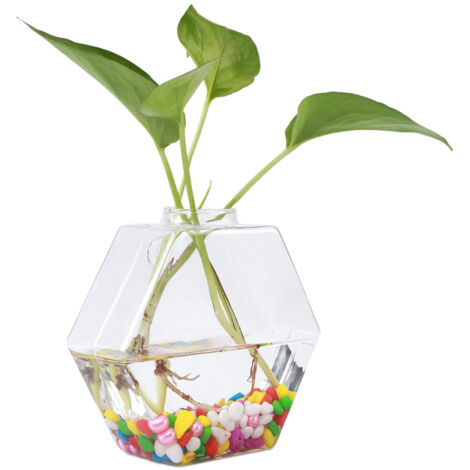 Vase mural suspendu transparent en forme hexagonale - KZQ