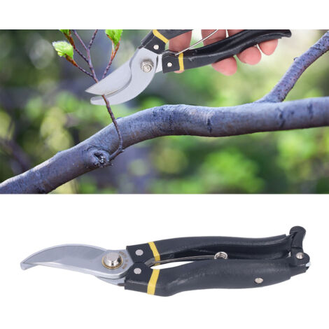 Ciseaux de Jardinage Faciles à Utiliser pour Taille des Arbres Fruitiers et des Branches - Outils de Jardin Parfaits pour la Pruning et l'Entretien du Jardin - KZQ