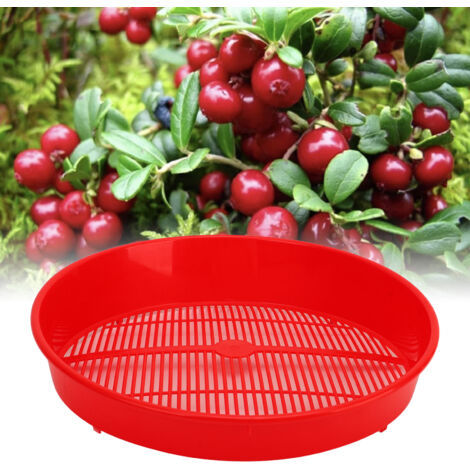 Nettoyeur à Bleuets et Fraises, Plateau de Lavage en Plastique pour Fruits Jardins - KZQ