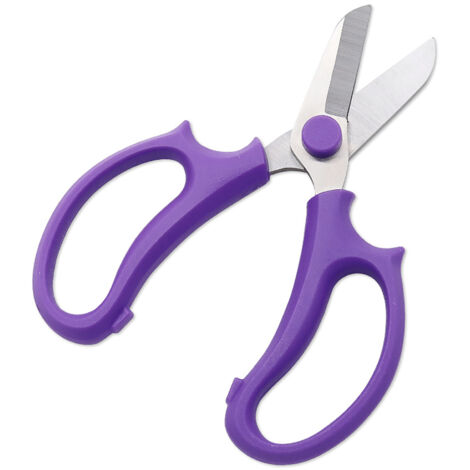 Ciseaux de Jardinage en Acier Inoxydable pour Fleurs et Art Floral Violet - KZQ