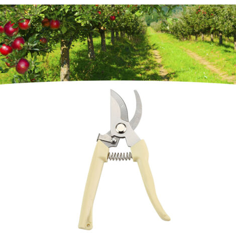 Ciseaux de Jardinage en Acier Inoxydable pour Taille des Branches Coupes Fruits Fleurs Outils de Greffe - KZQ