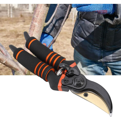 Ciseaux de Jardinage pour Taille des Branches Épaisses et Pruning - Idéals pour les Arbres Fruitiers et la Floriculture - KZQ