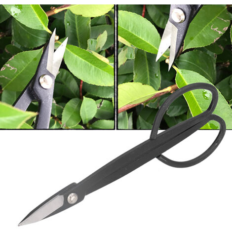 Ciseaux de Jardinage 200MM pour Taille des Fleurs et Bonsaïs - Parfaits pour la Coupe des Jeunes Pousses et des Branches-KZQ